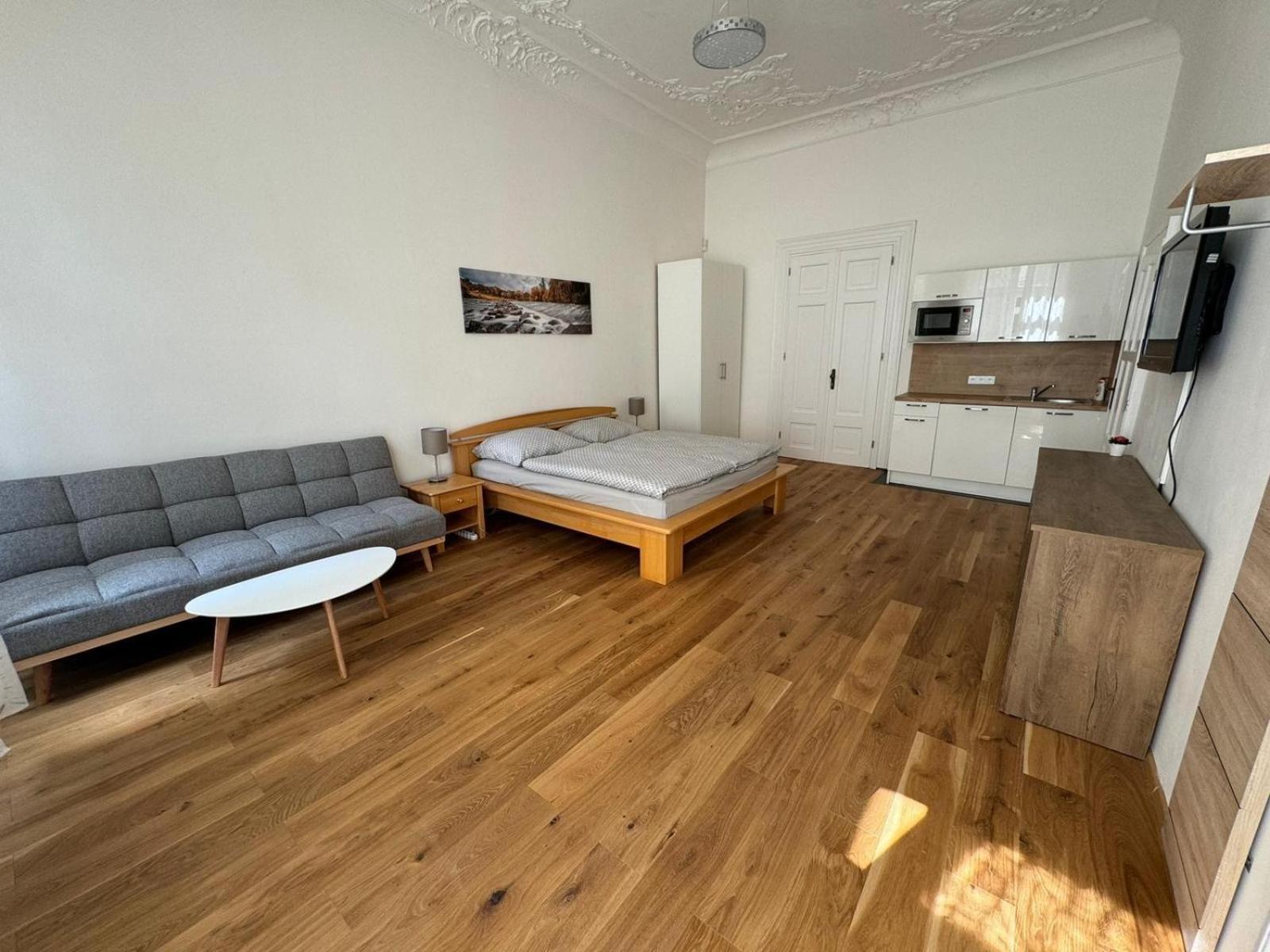 Palackeho Apartment براغ المظهر الخارجي الصورة