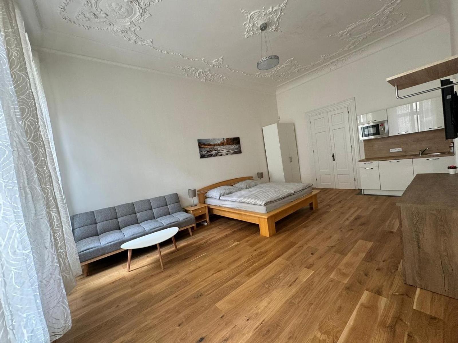 Palackeho Apartment براغ المظهر الخارجي الصورة